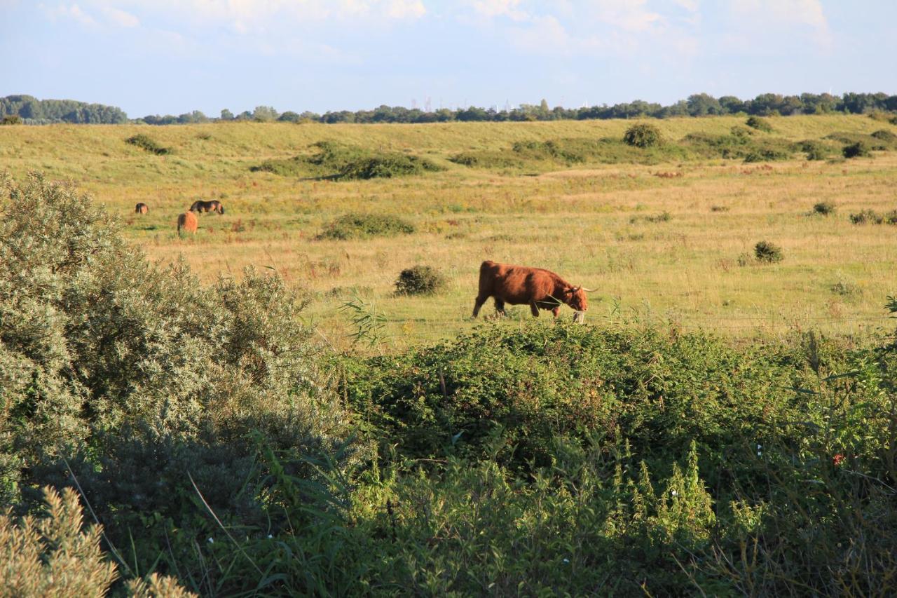 Zeeland & Meer คัมเปอร์ลันด์ ภายนอก รูปภาพ
